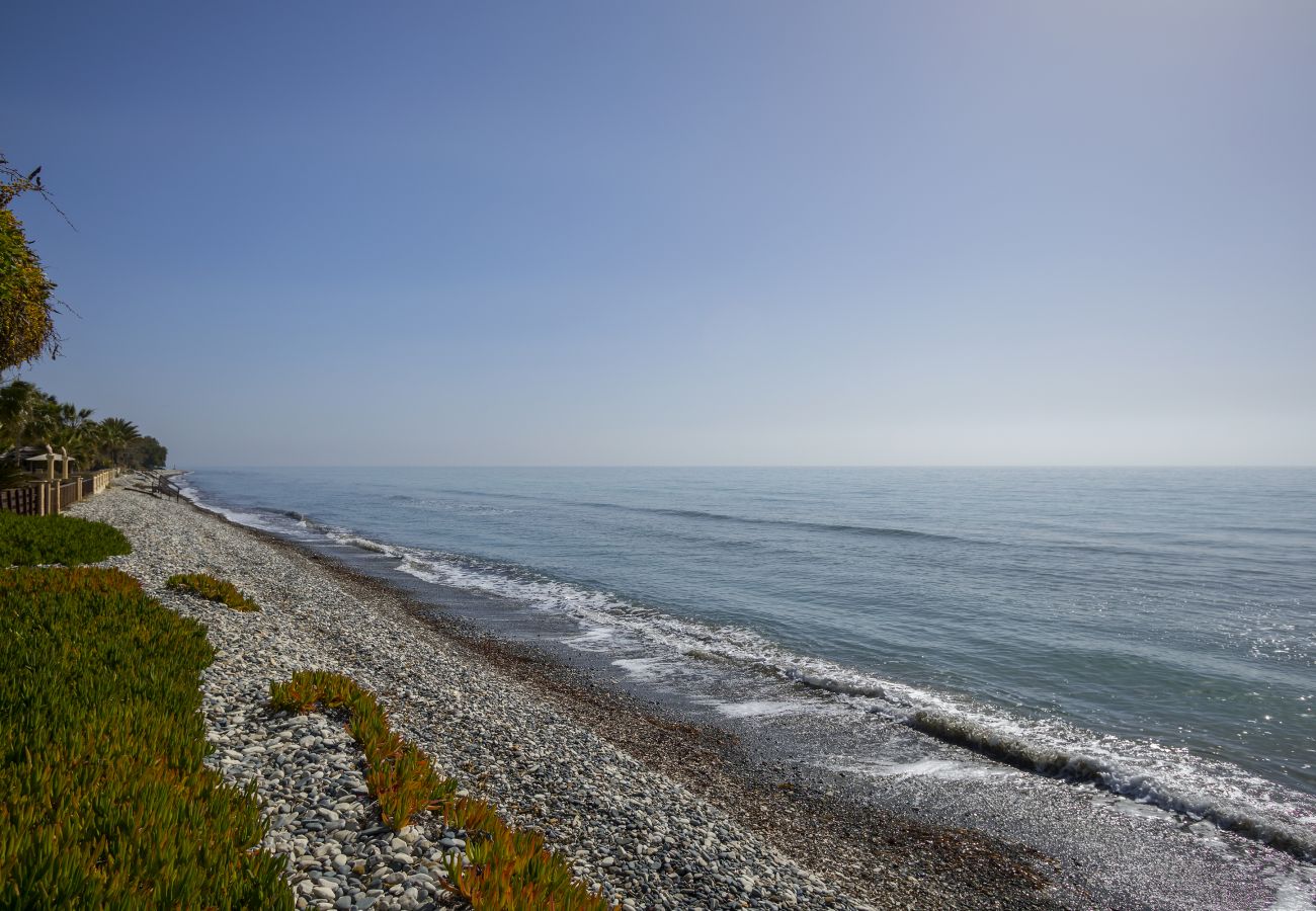 Villa in Larnaca - Beachfront Villa Meneou 5