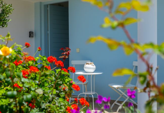 Villa in Protaras - Protaras Seafront Villa Alia Villa in Protaras - Protaras Seafront Villa Alia