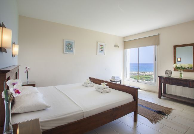 Villa in Protaras - Protaras Fig Tree Bay Seafront Villa Infinite Aretousa Villa in Protaras - Protaras Fig Tree Bay Seafront Villa Infinite Aretousa