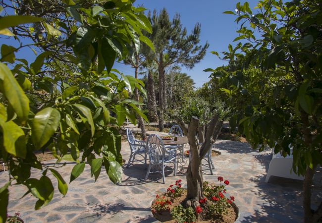 Villa in Protaras - Villa Mazeri Near Protaras And Ayia Napa Villa in Protaras - Villa Mazeri Near Protaras And Ayia Napa