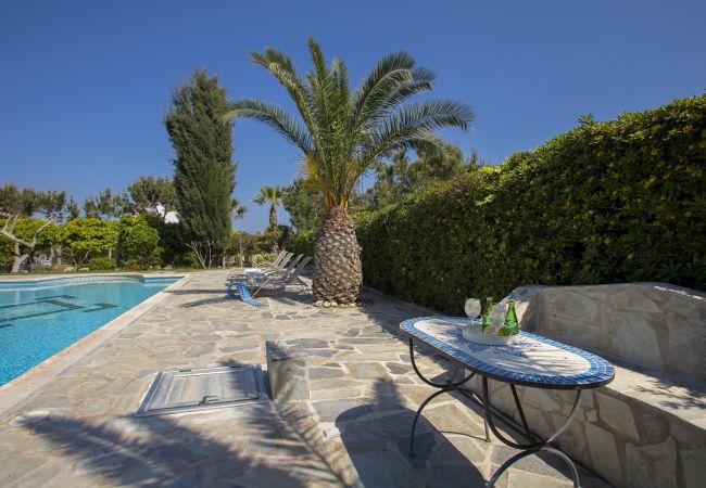 Villa in Protaras - Villa Mazeri Near Protaras And Ayia Napa Villa in Protaras - Villa Mazeri Near Protaras And Ayia Napa