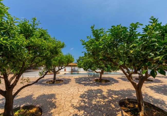 Villa in Protaras - Protaras Views With Large Plot Villa in Protaras - Protaras Views With Large Plot