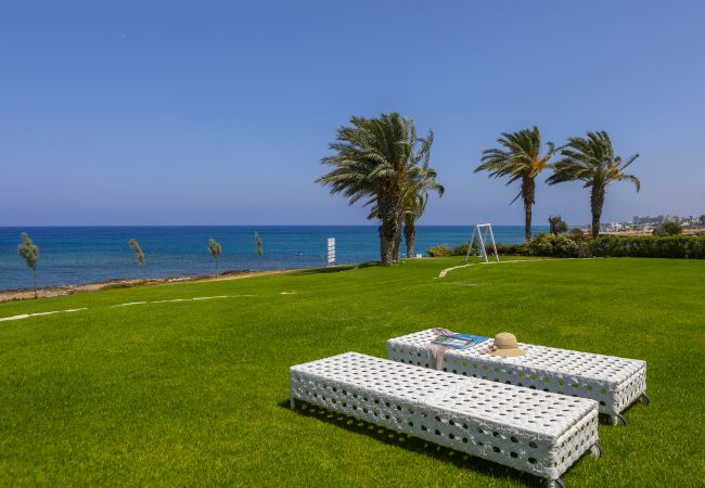 Villa in Protaras - Protaras Beachfront Dream Villa