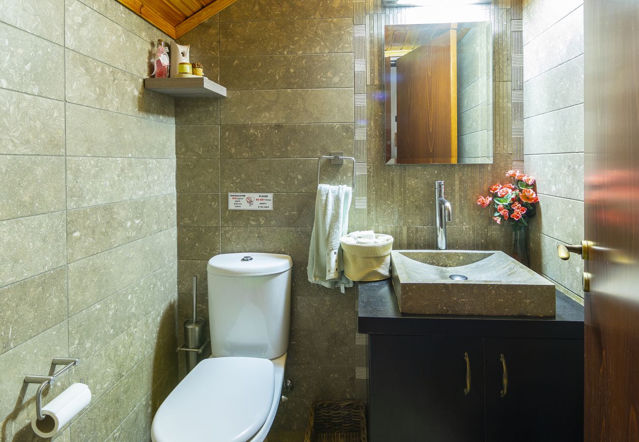 Villa in Amiantos - Troodos Riverside
