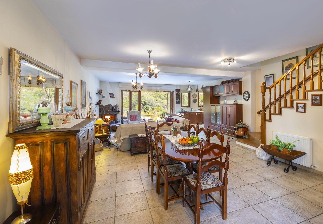 Villa in Amiantos - Troodos Riverside