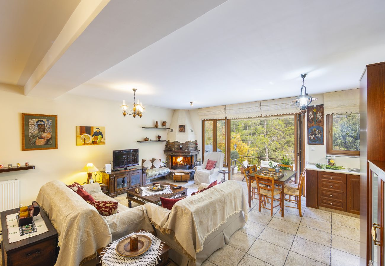 Villa in Amiantos - Troodos Riverside