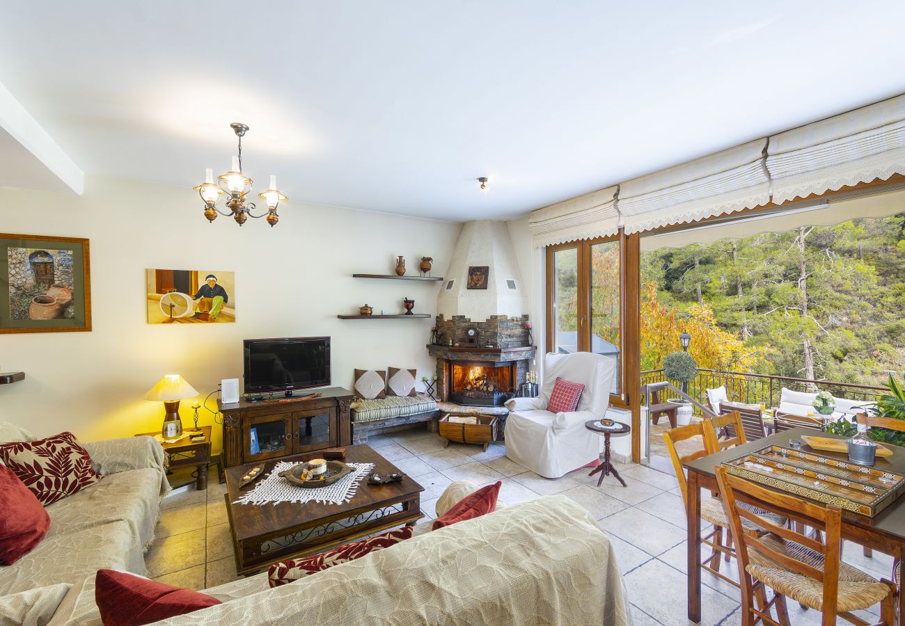 Villa in Amiantos - Troodos Riverside