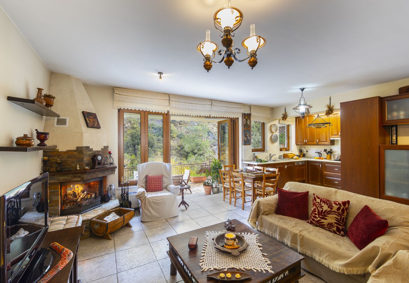 Villa in Amiantos - Troodos Riverside