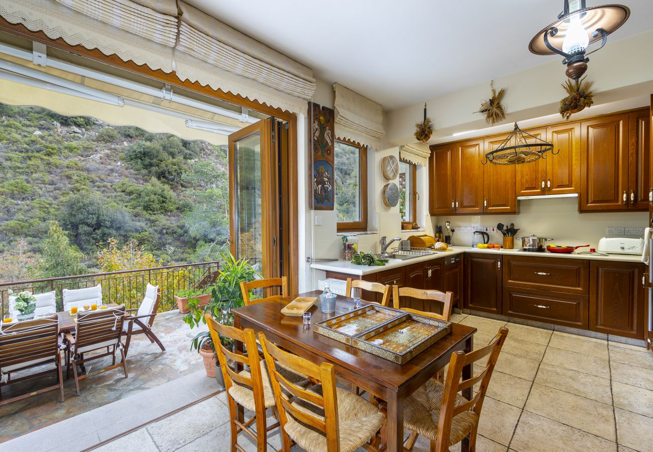 Villa in Amiantos - Troodos Riverside