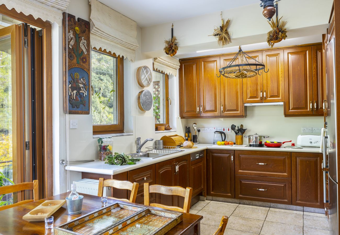 Villa in Amiantos - Troodos Riverside