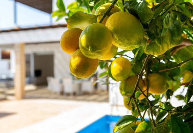 Villa in Protaras - Protaras Sapphire Seaside Villa Villa in Protaras - Protaras Sapphire Seaside Villa