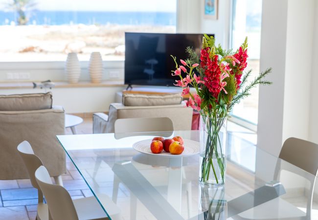 Villa in Protaras - Protaras Seafront Villa Violetta Villa in Protaras - Protaras Seafront Villa Violetta