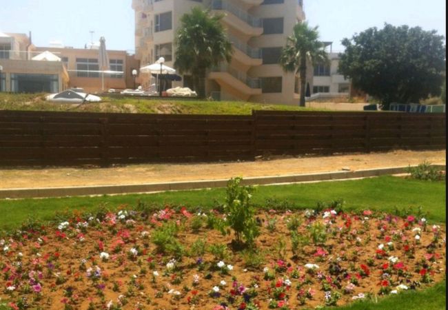 Apartment in Protaras - Protaras Pallini Seaside Suite Apartment in Protaras - Protaras Pallini Seaside Suite