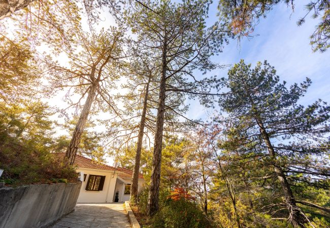 Villa in Platres - Platres Forty Pine Trees Cottage Villa in Platres - Platres Forty Pine Trees Cottage