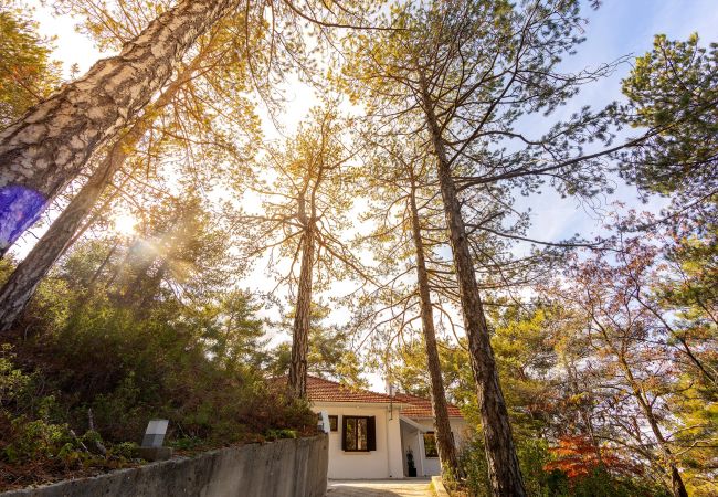 Villa in Platres - Platres Forty Pine Trees Cottage Villa in Platres - Platres Forty Pine Trees Cottage