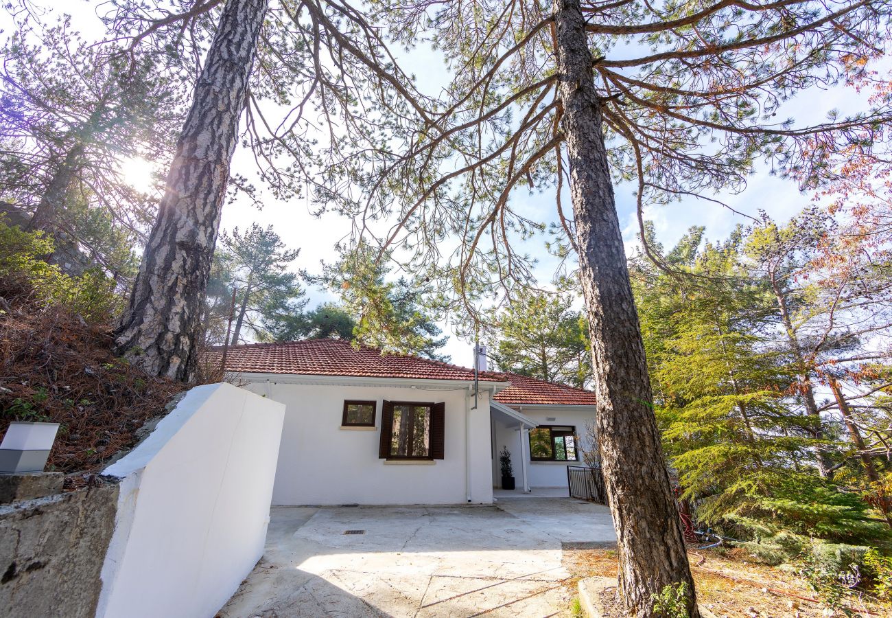 Villa in Platres - Platres Forty Pine Trees Cottage