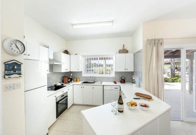 Villa in Ayia Napa - Cape Greco Palm Trees Villa Villa in Ayia Napa - Cape Greco Palm Trees Villa