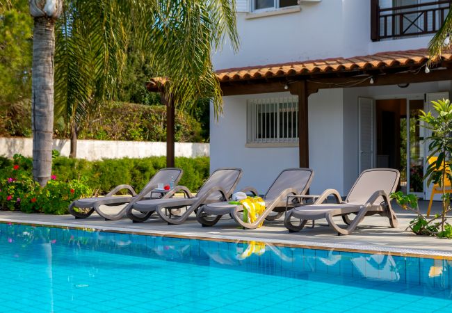 Villa in Ayia Napa - Cape Greco Palm Trees Villa Villa in Ayia Napa - Cape Greco Palm Trees Villa
