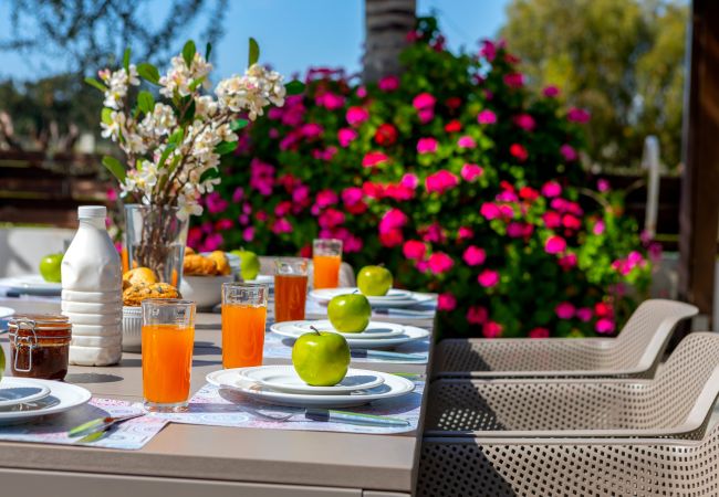 Villa in Ayia Napa - Cape Greco Palm Trees Villa Villa in Ayia Napa - Cape Greco Palm Trees Villa