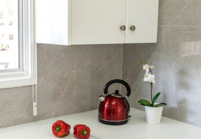 Villa in Ayia Napa - Cape Greco Palm Trees Villa Villa in Ayia Napa - Cape Greco Palm Trees Villa