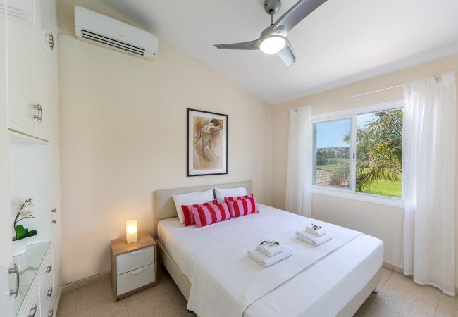 Villa in Ayia Napa - Cape Greco Palm Trees Villa Villa in Ayia Napa - Cape Greco Palm Trees Villa