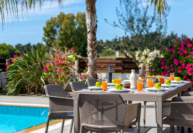 Villa in Ayia Napa - Cape Greco Palm Trees Villa Villa in Ayia Napa - Cape Greco Palm Trees Villa