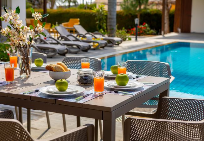 Villa in Ayia Napa - Cape Greco Palm Trees Villa Villa in Ayia Napa - Cape Greco Palm Trees Villa