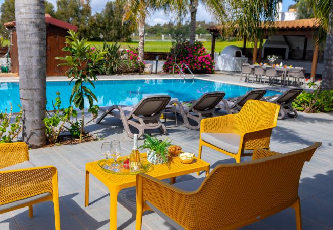 Villa in Ayia Napa - Cape Greco Palm Trees Villa Villa in Ayia Napa - Cape Greco Palm Trees Villa