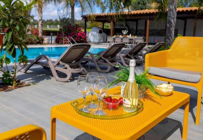 Villa in Ayia Napa - Cape Greco Palm Trees Villa Villa in Ayia Napa - Cape Greco Palm Trees Villa