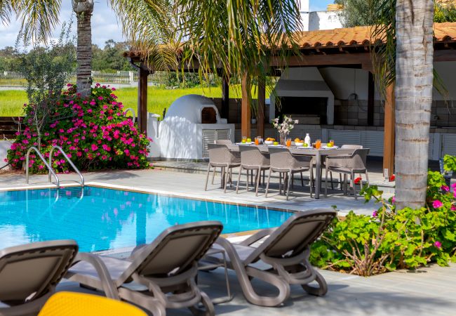 Villa in Ayia Napa - Cape Greco Palm Trees Villa Villa in Ayia Napa - Cape Greco Palm Trees Villa