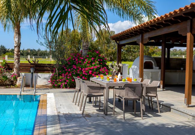 Villa in Ayia Napa - Cape Greco Palm Trees Villa Villa in Ayia Napa - Cape Greco Palm Trees Villa