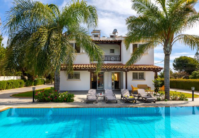 Villa in Ayia Napa - Cape Greco Palm Trees Villa Villa in Ayia Napa - Cape Greco Palm Trees Villa