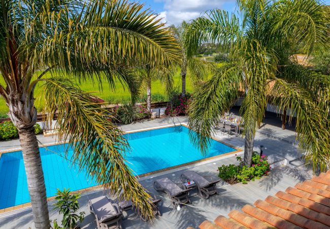 Villa in Ayia Napa - Cape Greco Palm Trees Villa Villa in Ayia Napa - Cape Greco Palm Trees Villa