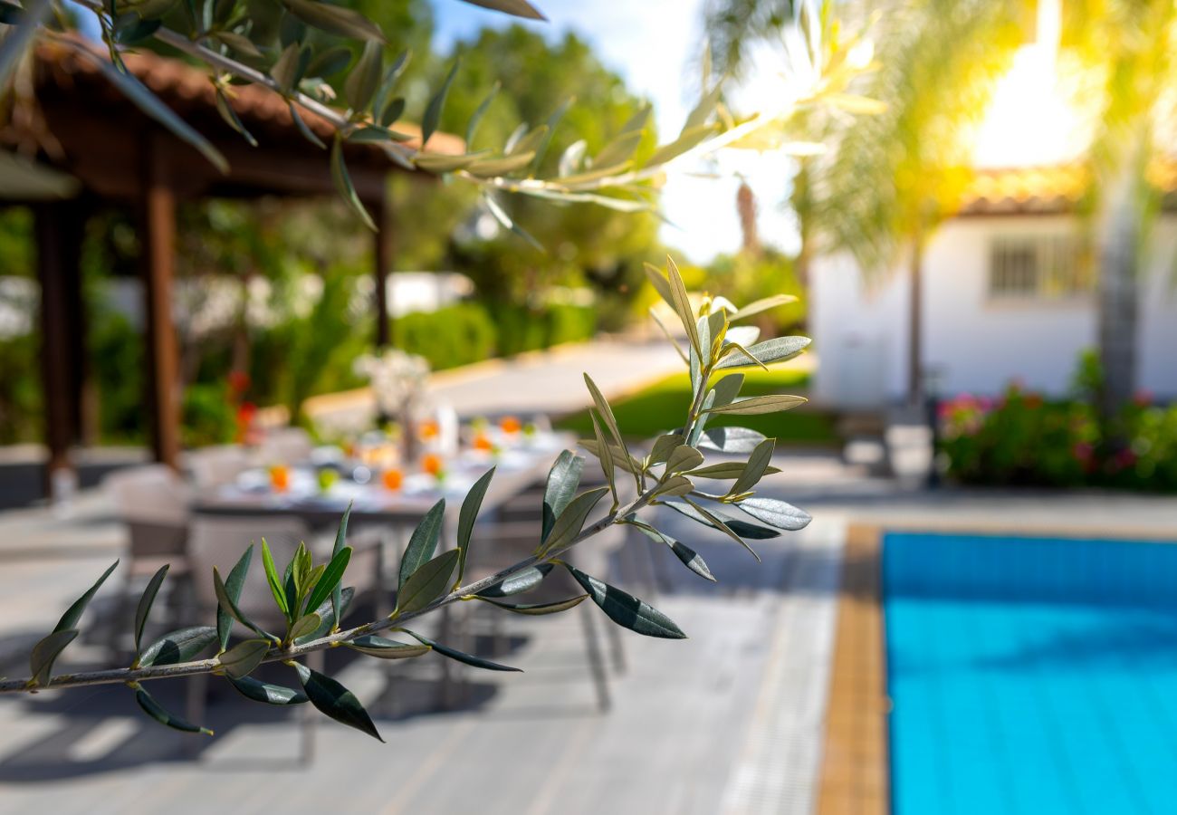 Villa in Ayia Napa - Cape Greco Palm Trees Villa