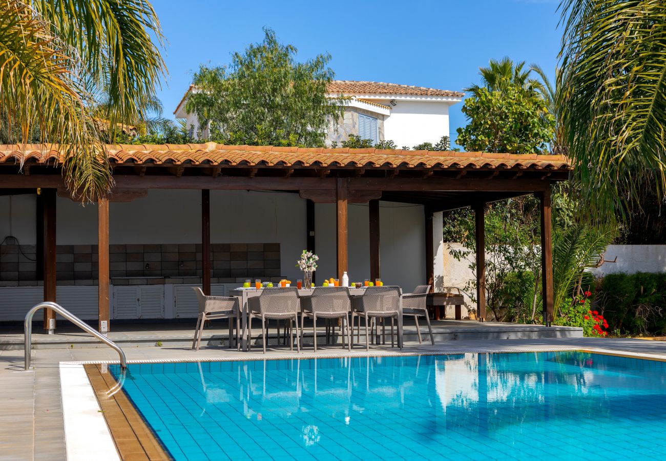 Villa in Ayia Napa - Cape Greco Palm Trees Villa