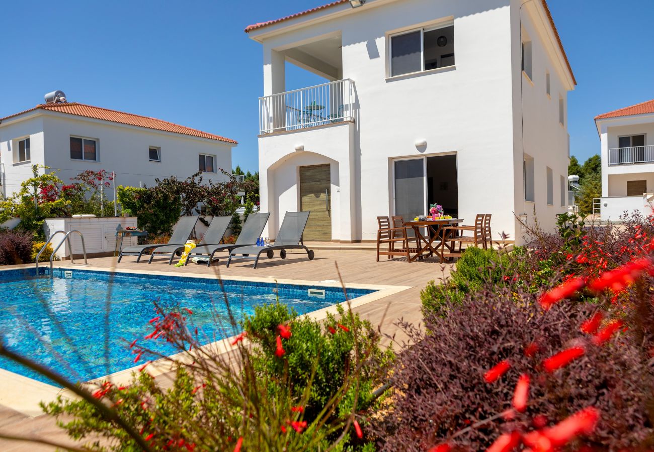Villa in Ayia Napa - Napa Bay View Villa 3