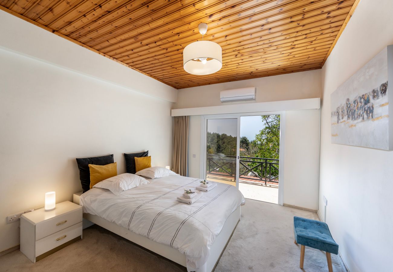 Villa in Platres - Platres Forest Panorama