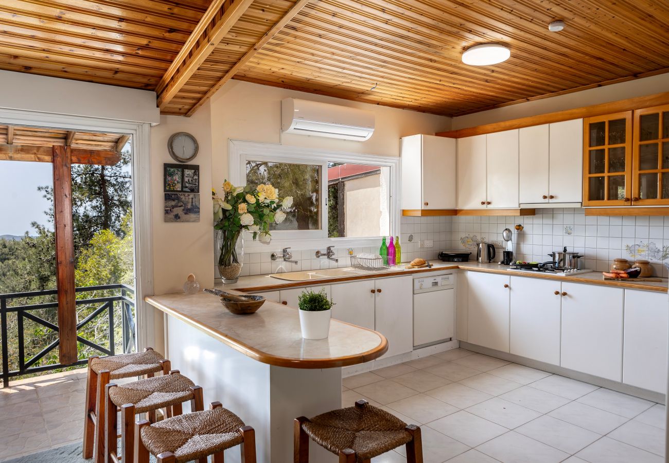 Villa in Platres - Platres Forest Panorama