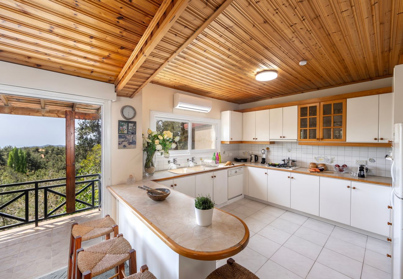 Villa in Platres - Platres Forest Panorama