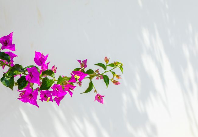 Villa in Ayia Napa - Napa Bay View Villa 8 Villa in Ayia Napa - Napa Bay View Villa 8