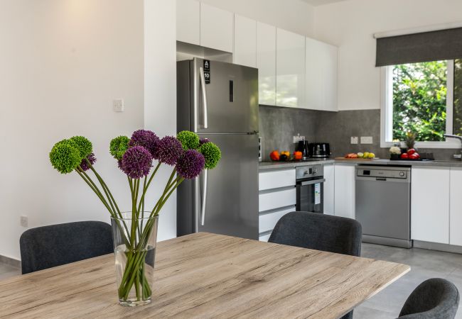 Villa in Ayia Napa - Napa Bay View Villa 8 Villa in Ayia Napa - Napa Bay View Villa 8