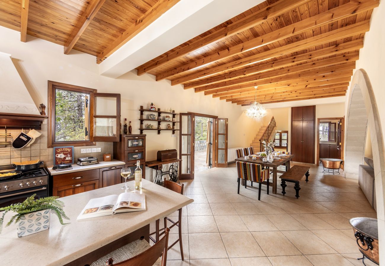 Villa in Nicosia - Troodos Natura Pine Chalet