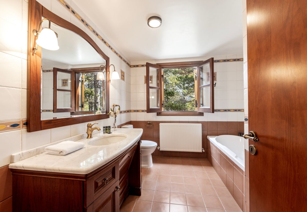 Villa in Nicosia - Troodos Natura Pine Chalet