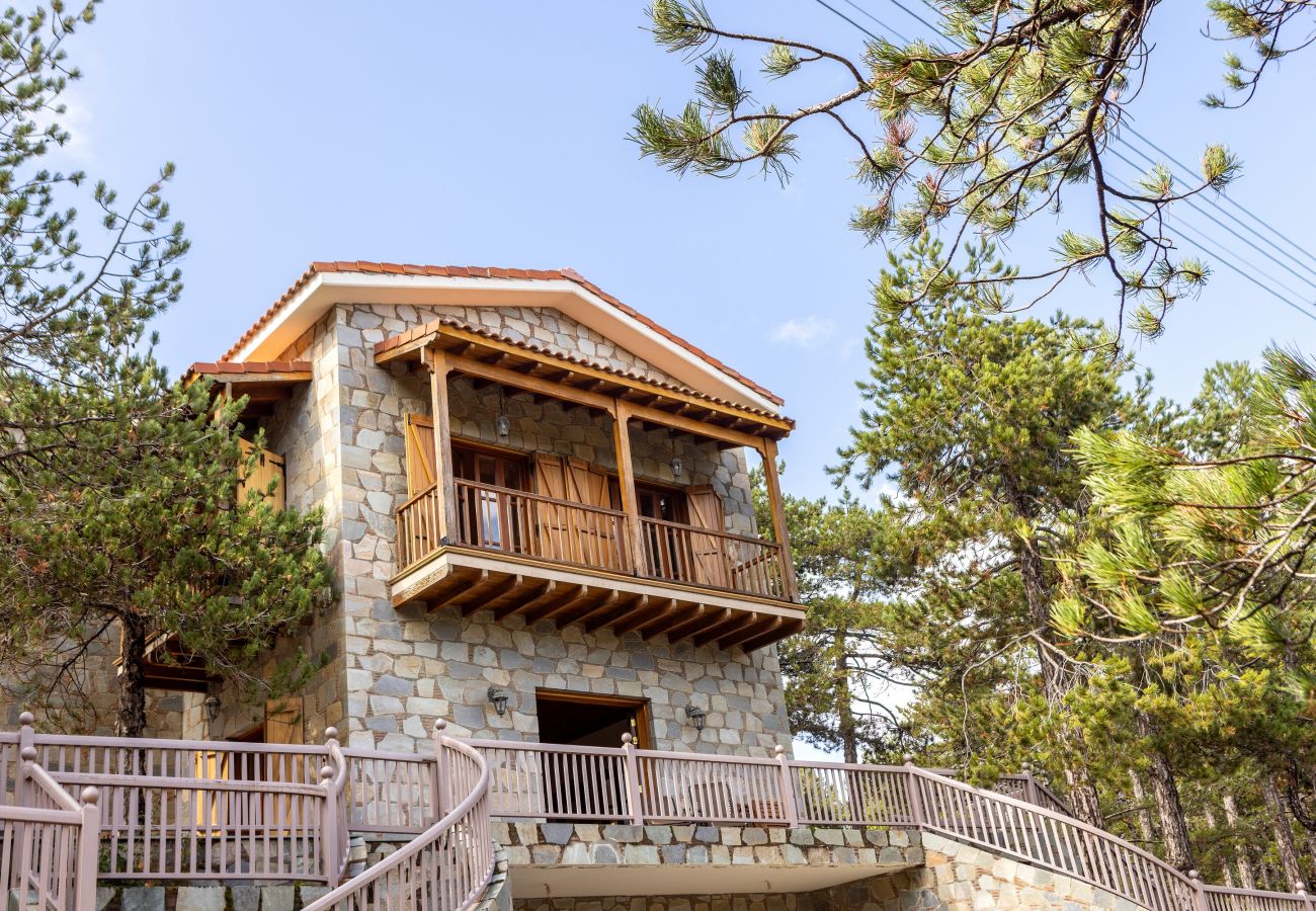 Villa in Nicosia - Troodos Natura Pine Chalet