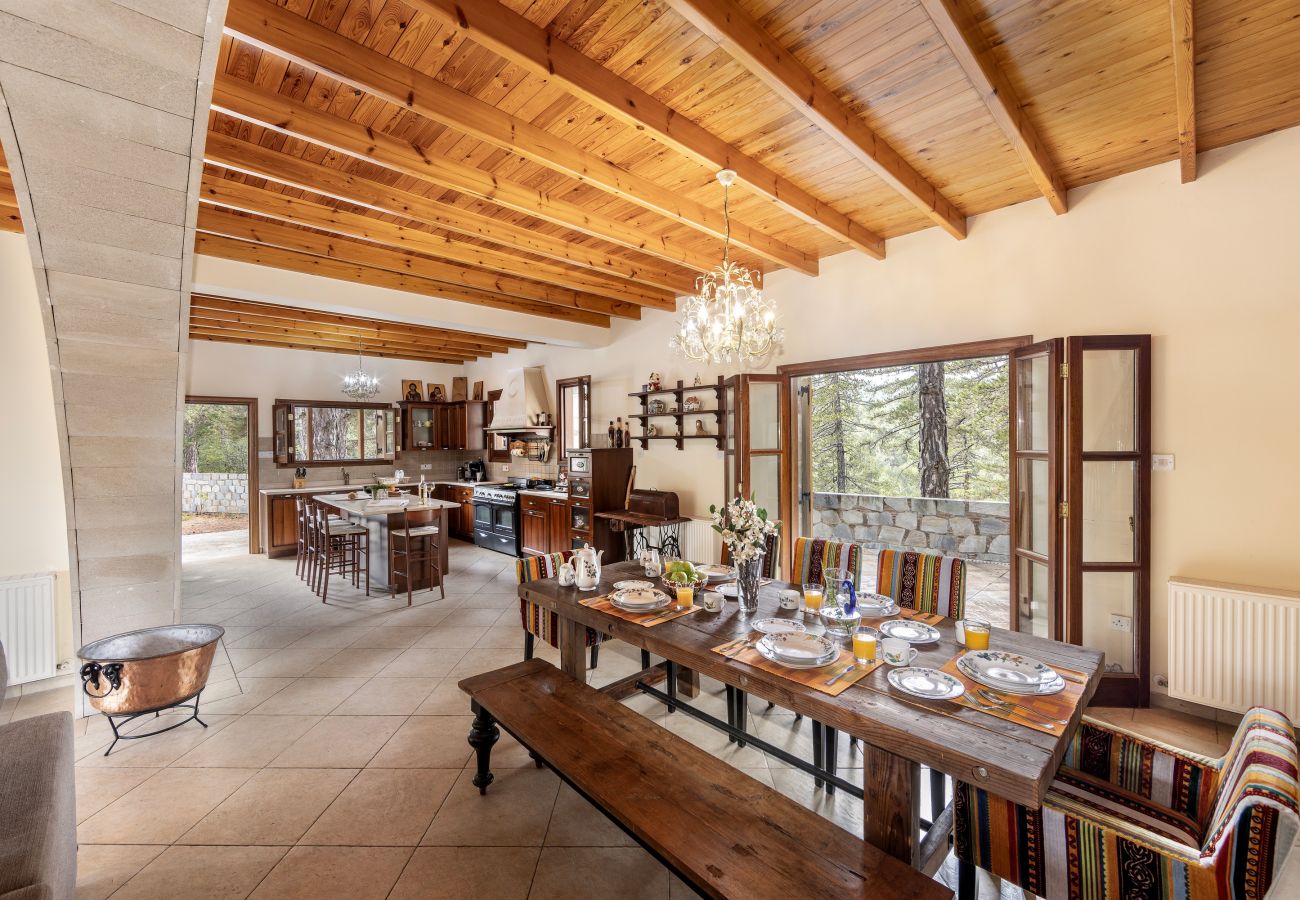 Villa in Nicosia - Troodos Natura Pine Chalet