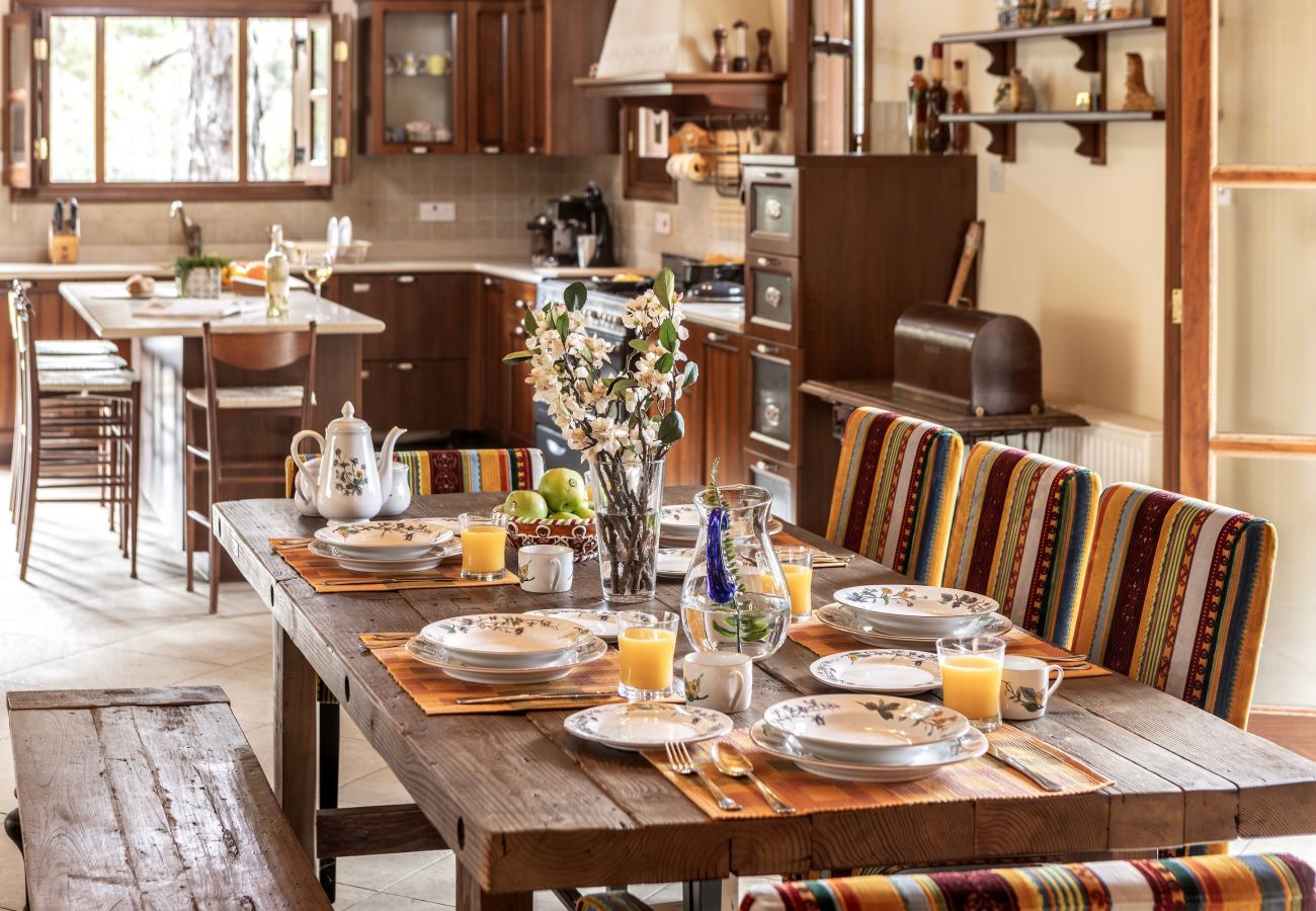 Villa in Nicosia - Troodos Natura Pine Chalet