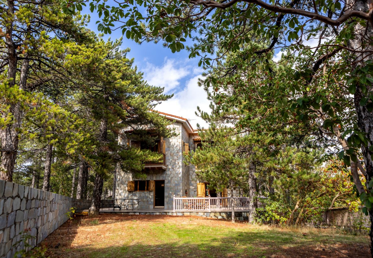 Villa in Nicosia - Troodos Natura Pine Chalet
