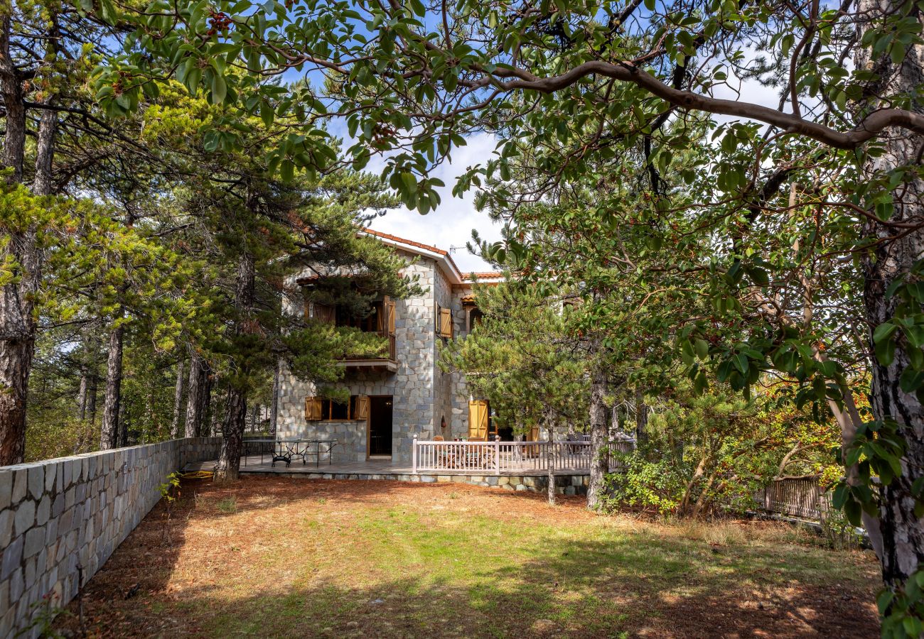 Villa in Nicosia - Troodos Natura Pine Chalet