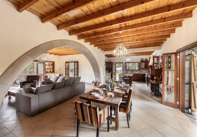 Villa in Pedoulas - Troodos Mature Pine Chalet  Villa in Pedoulas - Troodos Mature Pine Chalet