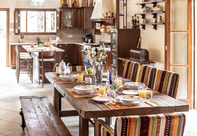 Villa in Pedoulas - Troodos Mature Pine Chalet  Villa in Pedoulas - Troodos Mature Pine Chalet